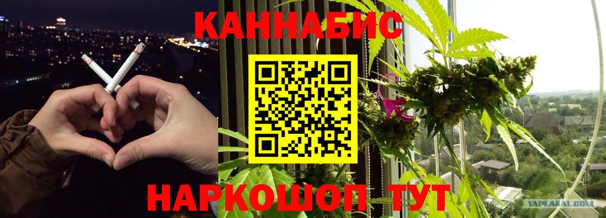 Бошки марихуана планчик  Каннабис Amnesia  Бошки марихуана планчик  Вход с VPN  Мыски 